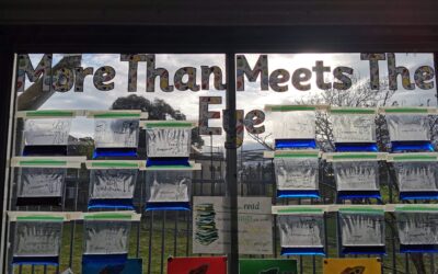 Year 2 – Inquiry Unit ‘More Than Meets The Eye’